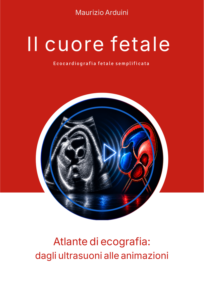 Copertina Il cuore fetale